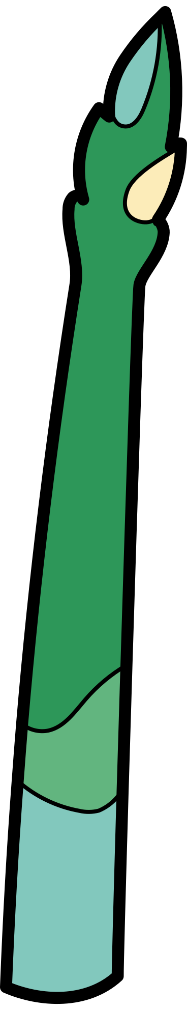 Asparagus PNG, SVG