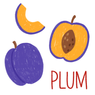 Plum, half of a plum, a plum slice and lettering PNG, SVG