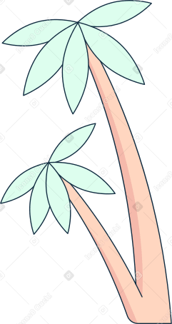 palm trees PNG, SVG