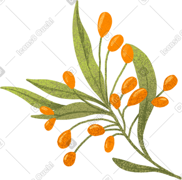 Green twig with orange berries PNG, SVG