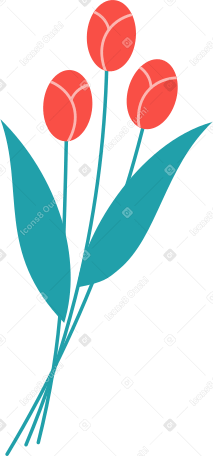 three red tulips Illustration in PNG, SVG