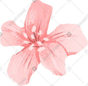 带花瓣的粉红色小花 PNG, SVG