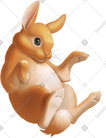 Red rabbit PNG, SVG