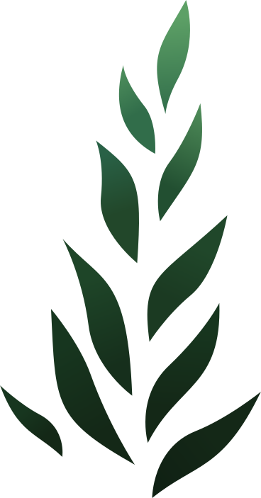 green algae PNG, SVG
