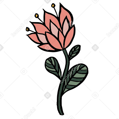 flower PNG, SVG