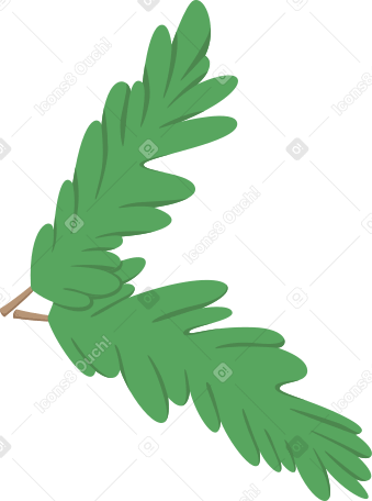 christmas tree branches PNG, SVG