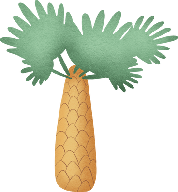 Palm в PNG, SVG