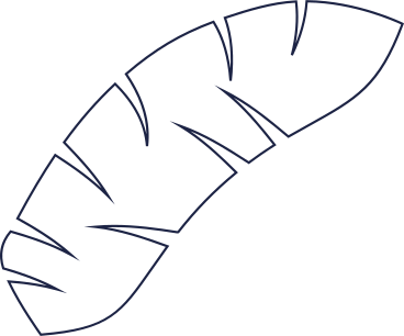 white palm leaf PNG, SVG