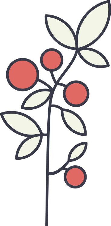berry bush PNG, SVG