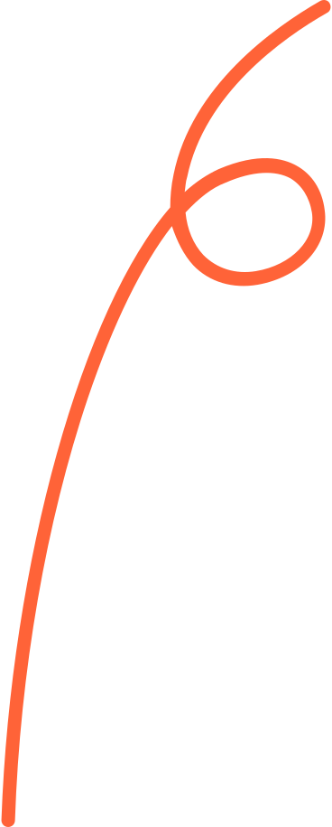 Linha encaracolada vermelha PNG, SVG