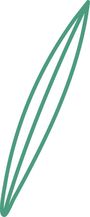 green outline leaf PNG, SVG