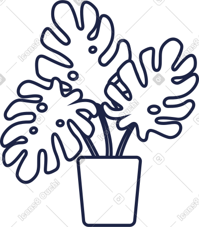 植物小线 PNG, SVG