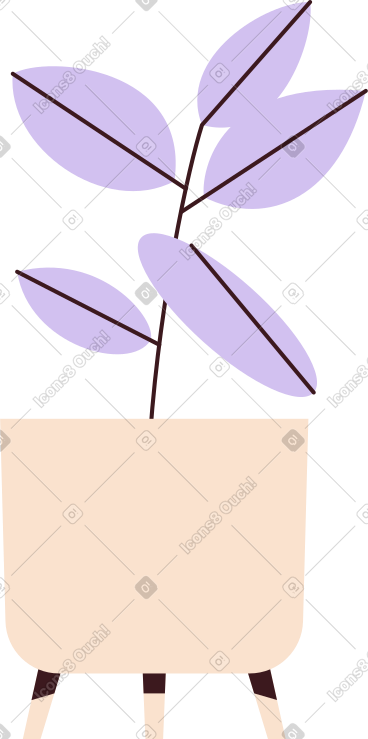 带叶的花在锅里 PNG, SVG