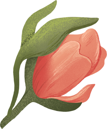 Kleine rosa rose mit blättern PNG, SVG