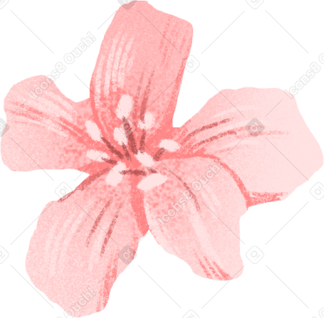 small pink flower with petals PNG, SVG