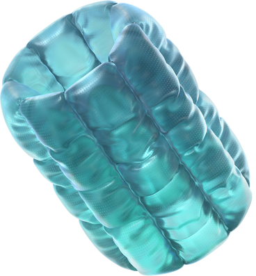 Inflated tube PNG, SVG