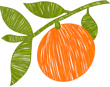 An orange on a branch PNG, SVG