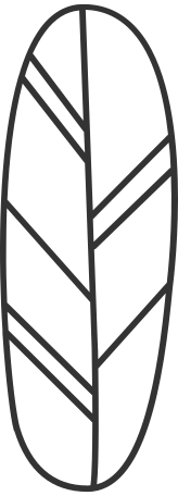 oval vein black outline leaf Illustration in PNG, SVG