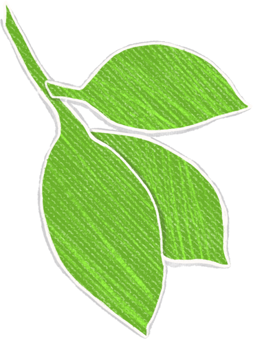 twig with three green leaves PNG, SVG