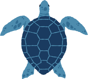 tartaruga marina PNG, SVG