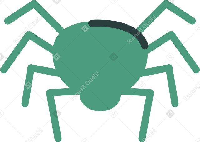 spider Illustration in PNG, SVG