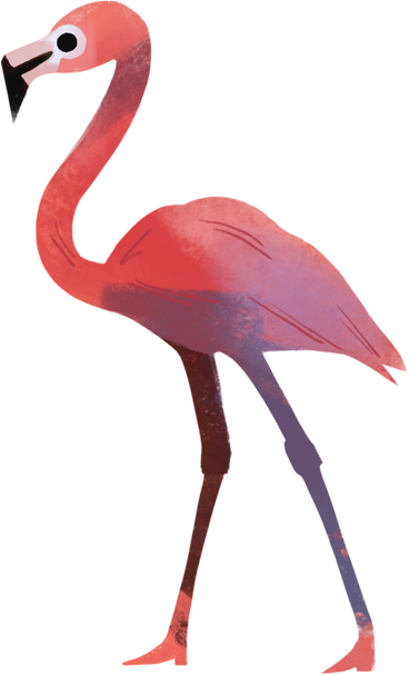 flamingo PNG, SVG