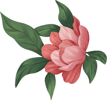 opened bud of a dark pink flower PNG, SVG