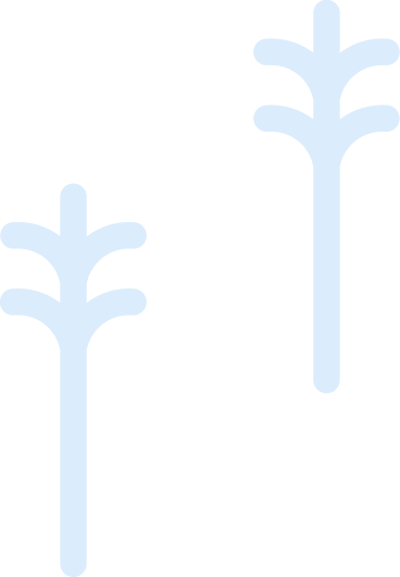 two trees PNG, SVG