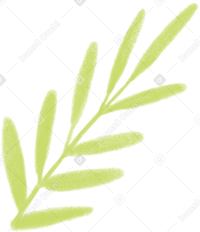 green branch with leaves Illustration in PNG, SVG