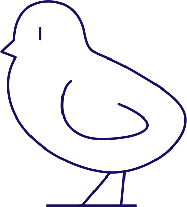 Chick PNG, SVG