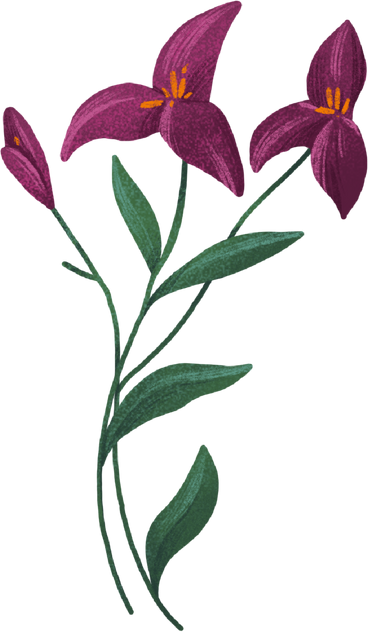 burgundy flowers PNG, SVG