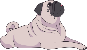 pug dog PNG, SVG