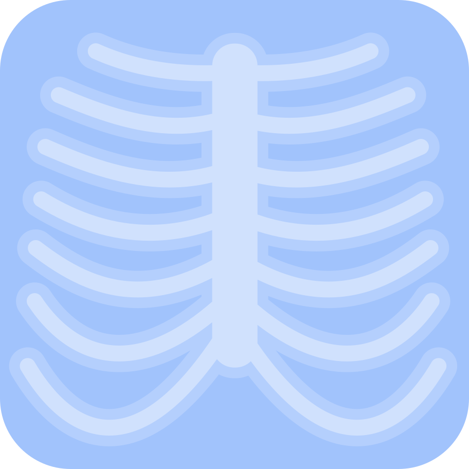 x ray Illustration in PNG, SVG