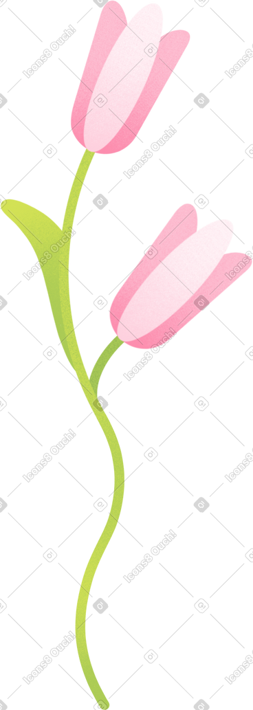 Pink flowers PNG, SVG