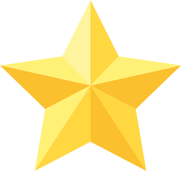 Estrela de coco da árvore de natal PNG, SVG