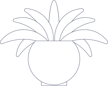 Home plant in pot PNG, SVG