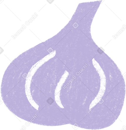 purple garlic PNG, SVG