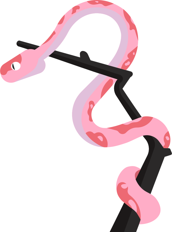 snake on the tree Illustration in PNG, SVG
