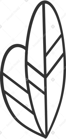 two oval vein black outline leaves Illustration in PNG, SVG
