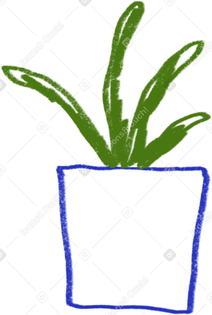 Растение в горшке в PNG, SVG