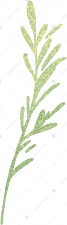 small blade of grass with seeds PNG, SVG