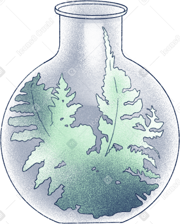 fern in a flask Illustration in PNG, SVG