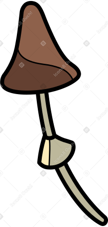 mushroom Illustration in PNG, SVG