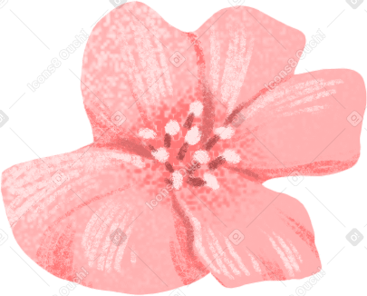 little pink flower PNG、SVG