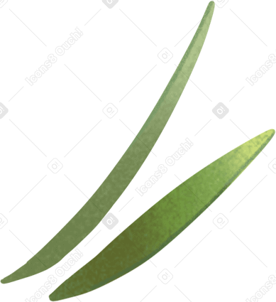 緑の草 PNG、SVG
