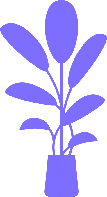 office plant with large rounded leaves PNG, SVG
