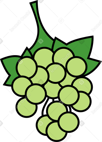 виноград в PNG, SVG