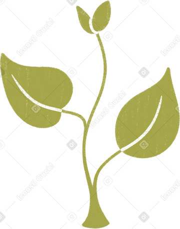 green plant Illustration in PNG, SVG