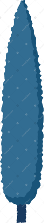 cypress Illustration in PNG, SVG