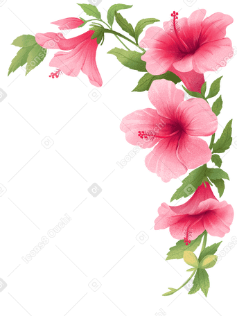 Угловая композиция с розовыми цветами гибискуса в PNG, SVG